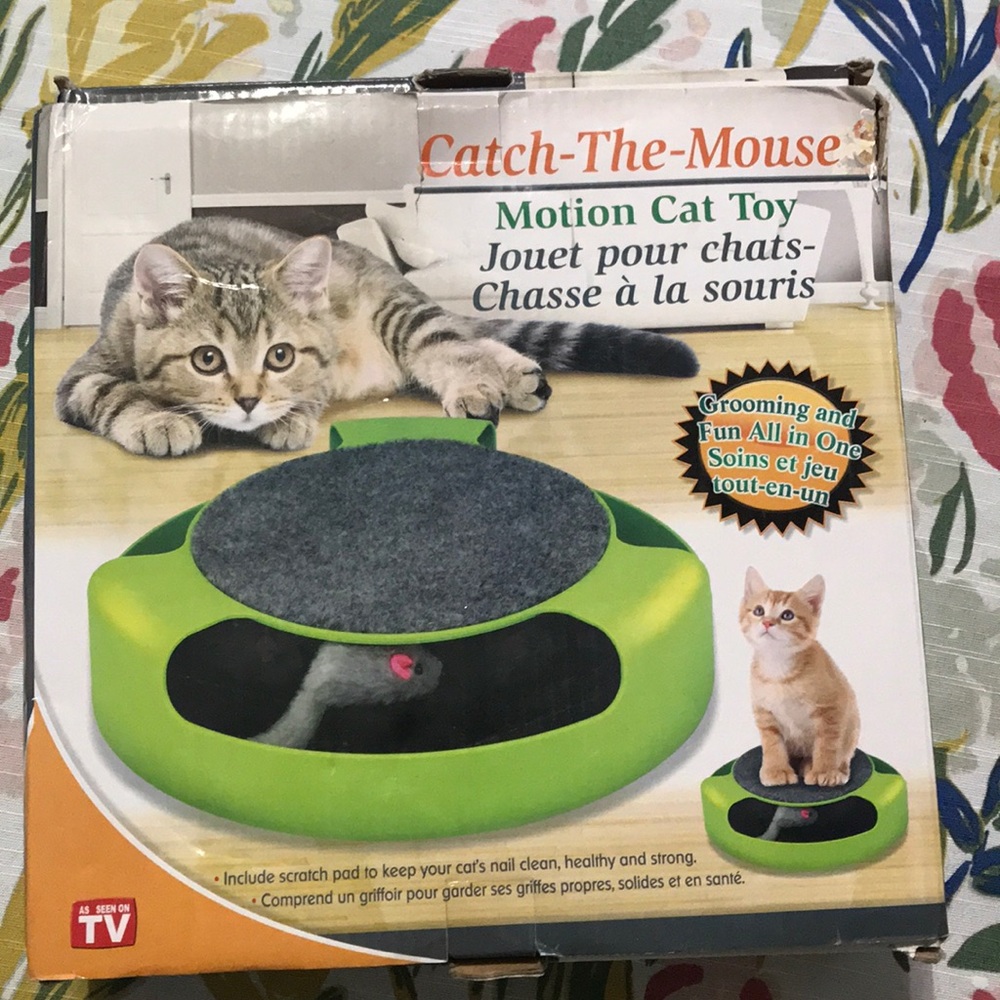 Motion cat toy